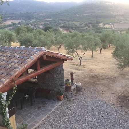 S'Umbra De S'Ozzastru Villa Orgosolo Exteriör bild