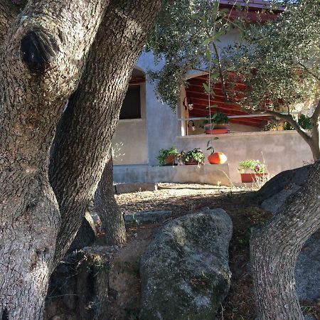 S'Umbra De S'Ozzastru Villa Orgosolo Exteriör bild