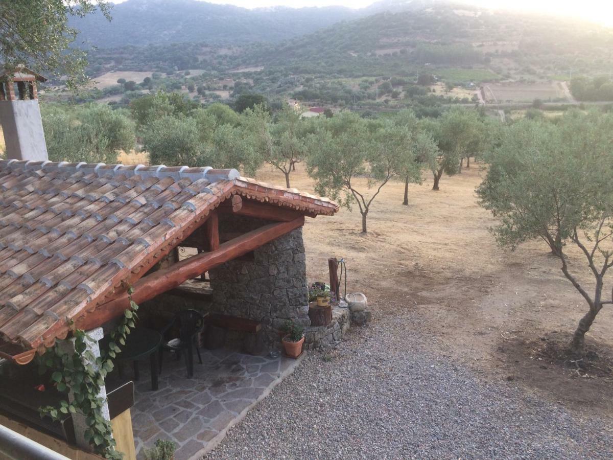 S'Umbra De S'Ozzastru Villa Orgosolo Exteriör bild
