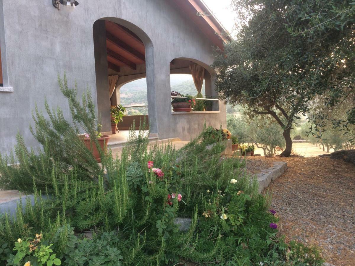 S'Umbra De S'Ozzastru Villa Orgosolo Exteriör bild