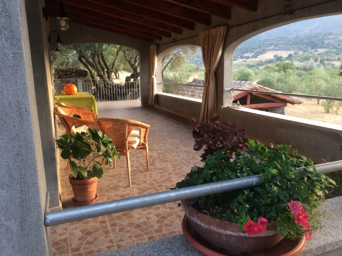 S'Umbra De S'Ozzastru Villa Orgosolo Exteriör bild
