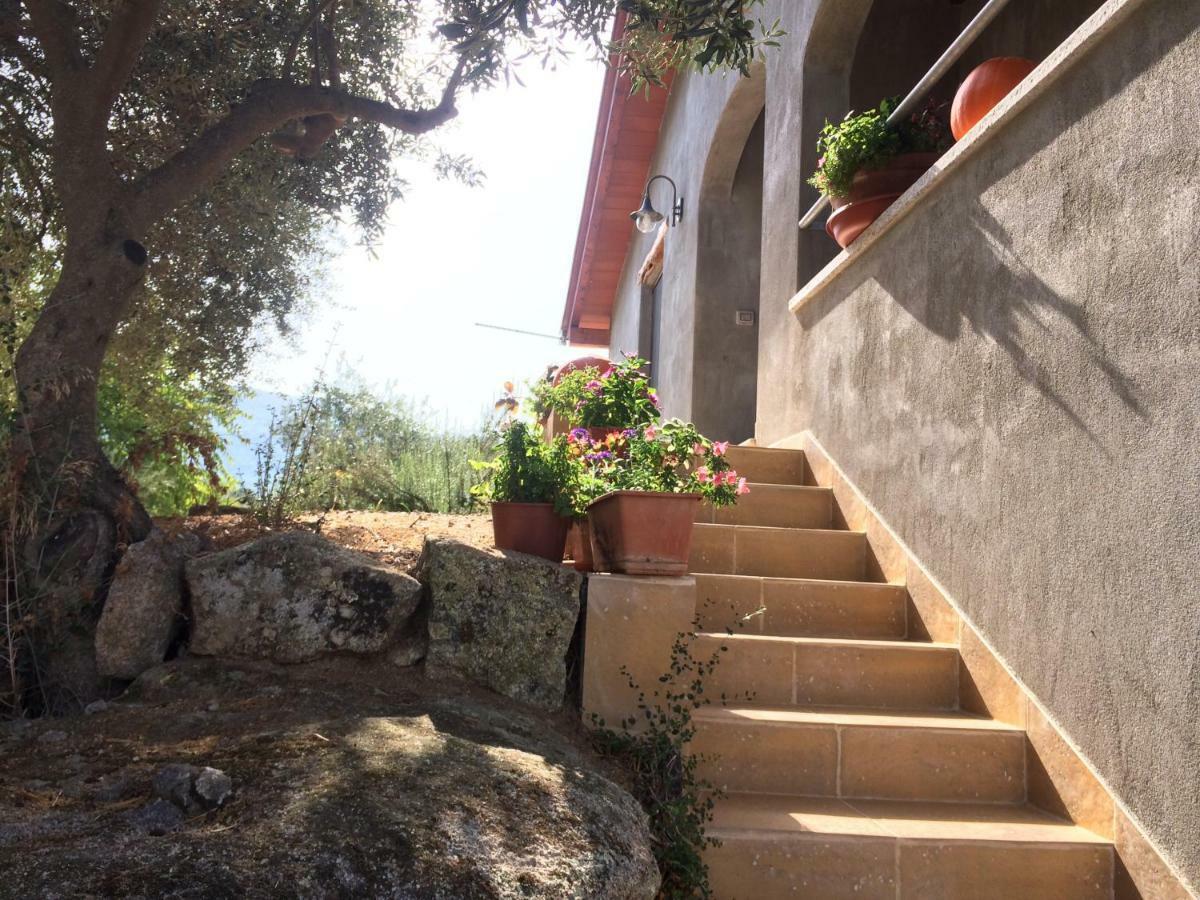 S'Umbra De S'Ozzastru Villa Orgosolo Exteriör bild
