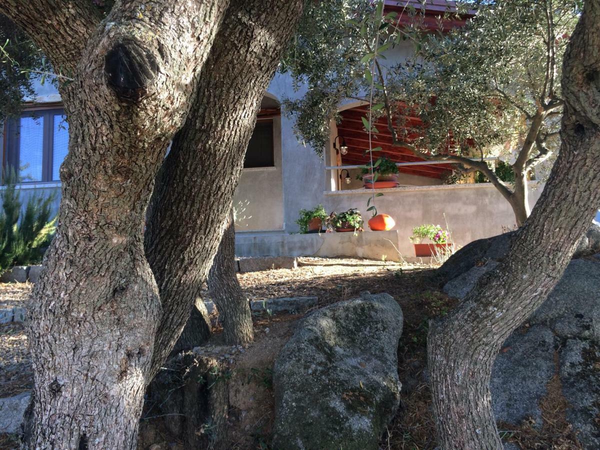 S'Umbra De S'Ozzastru Villa Orgosolo Exteriör bild