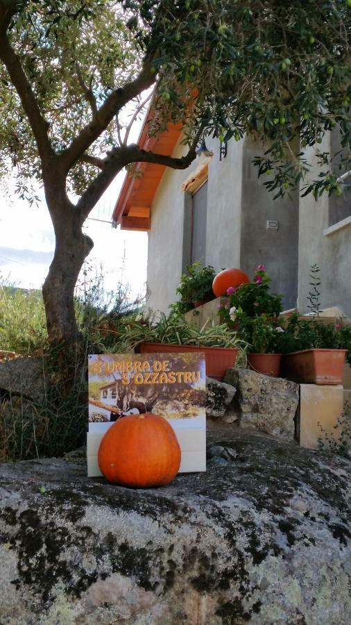 S'Umbra De S'Ozzastru Villa Orgosolo Exteriör bild